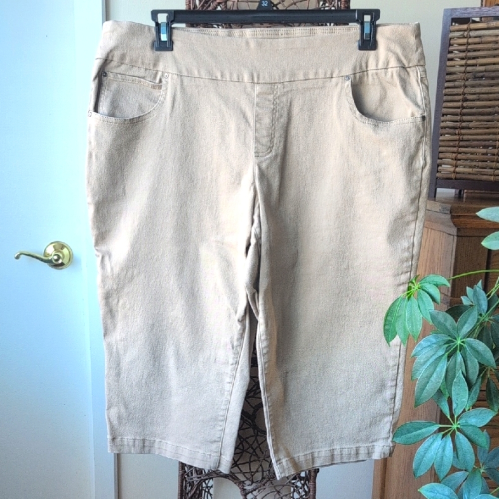 Capris - NWOT